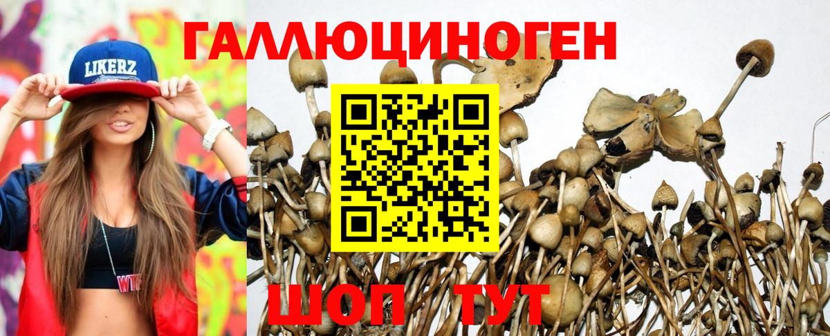 Галлюциногенные грибы мухоморы  Псилоцибиновые грибы GOLDEN TEACHER  Усинск  что такое наркотик  Вход с VPN 