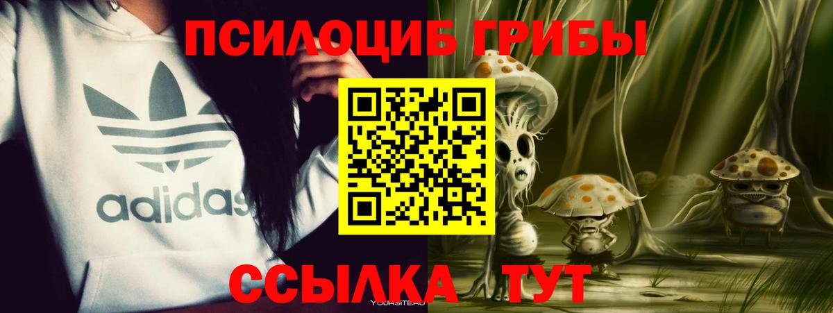 Галлюциногенные грибы GOLDEN TEACHER Усинск